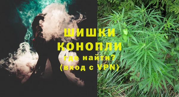 молекула духа Бородино
