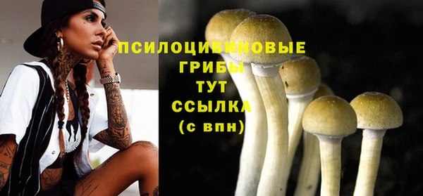 амф Богданович
