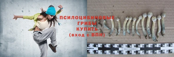 jwh Бугульма