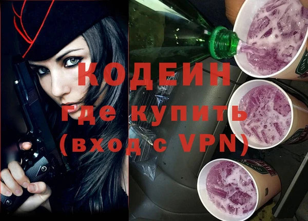 молекула духа Бородино