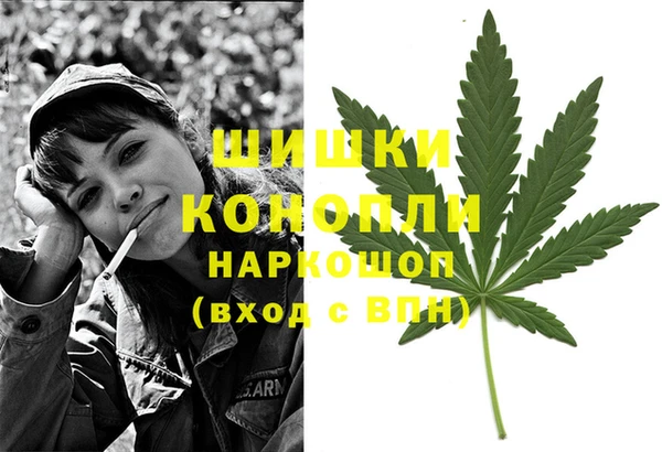 амф Богданович