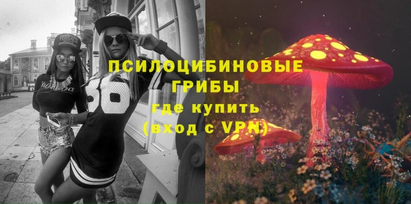 амф Богданович