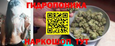ПСИЛОЦИБИНОВЫЕ ГРИБЫ Гагарин