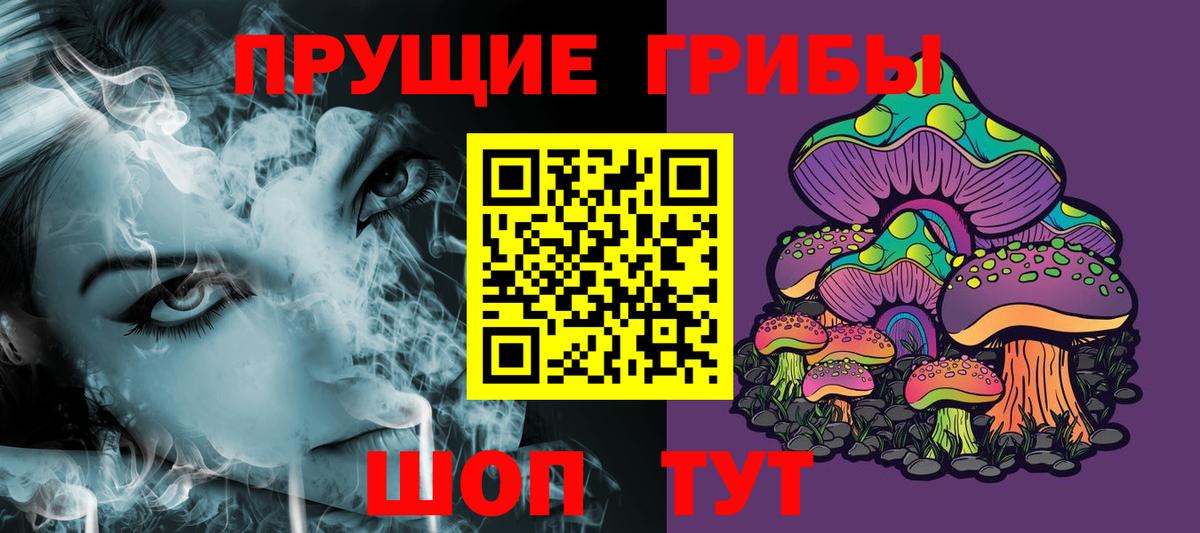 Псилоцибиновые грибы Cubensis  Горячий Ключ 